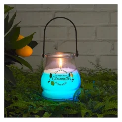 Bougie citronnelle led pot verre