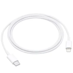 Câble Lightning / USB-C APPLE 1M Blanc