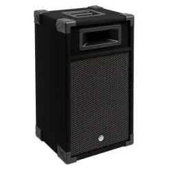 Enceinte amplifiée BM SONIC DJ 300