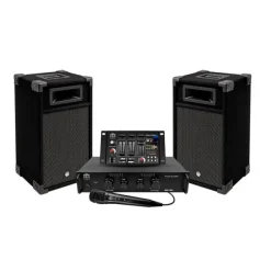Enceinte amplifiée BM SONIC DJ 300