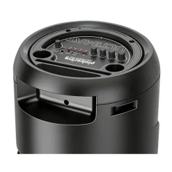 Enceinte PICKERING ULTIMATSOUND 1000