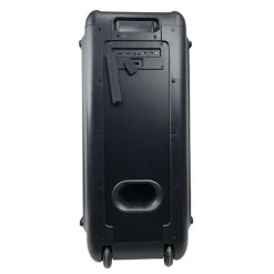 Enceinte sono EDENWOOD PARTY 450