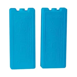 Glacière 25L + 2 pains de glace 350g
