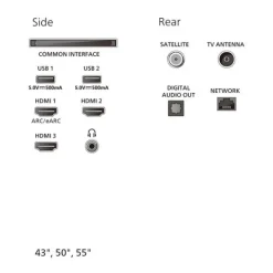 TV QLED 55